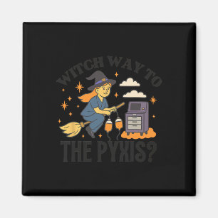 They Didn't Burn Witches They Burned Women Witchy  Magnet