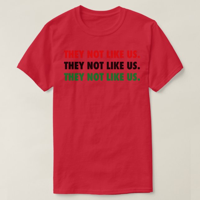 They Not Like Us African Colours TShirt (Design Front)
