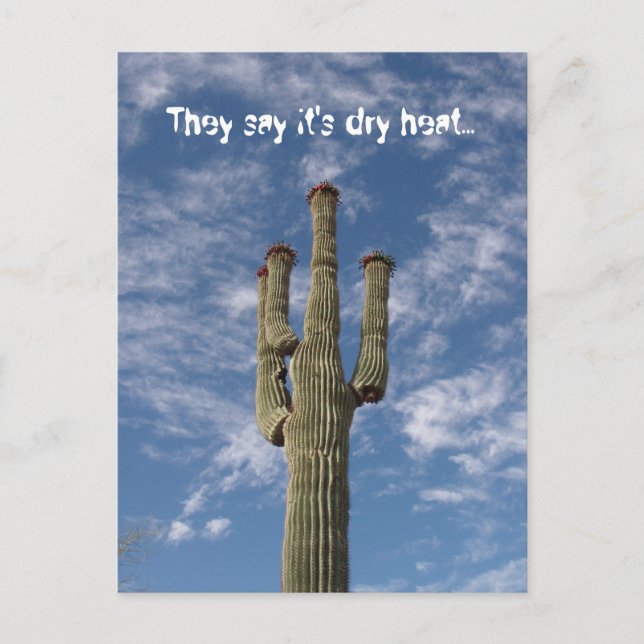 They say it's dry heat... postcard (Front)