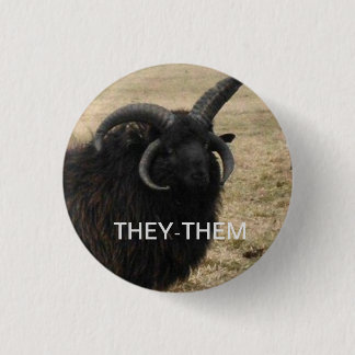 "They-Them" with serious goat 3 Cm Round Badge