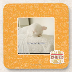 they'll never find meh here coaster