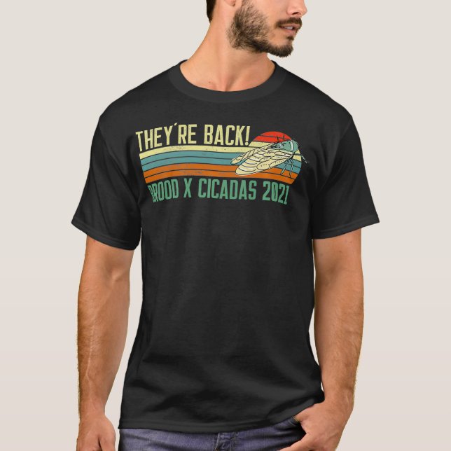 Theyre Back Brood X Cicadas 2021 Retro Sunset T-Shirt (Front)
