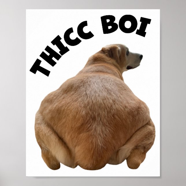 Thicc Boi Fat and Funny Yellow Labrador Retriever  Poster (Front)