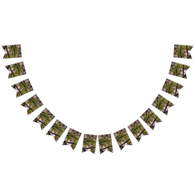 Thick branches bunting  (All)