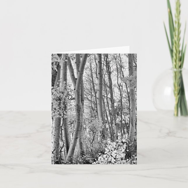 Thicket Card (Front)