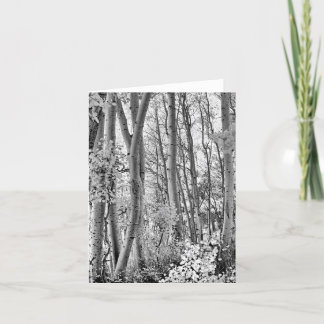 Thicket Card