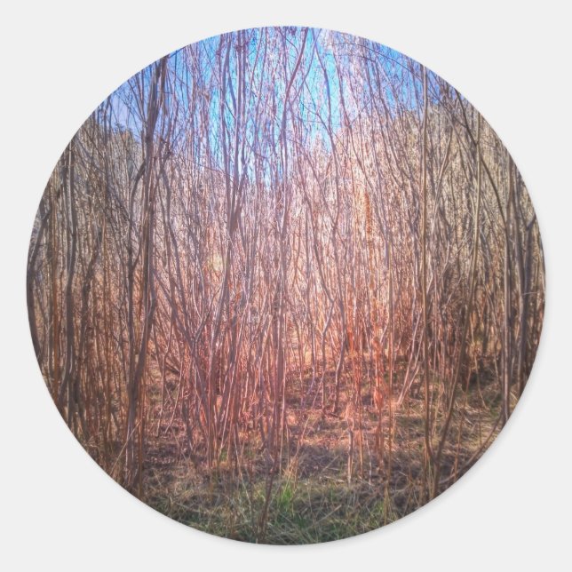 Thicket Classic Round Sticker (Front)