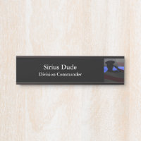 Thin Blue Line - Stars and Stripes Flag Salute