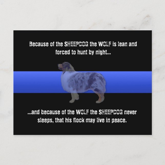 Thin Blue Line The Sheepdog Never Sleeps Postcard (Front)