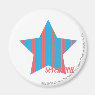 Thin Stripes Aqua 2 Magnet