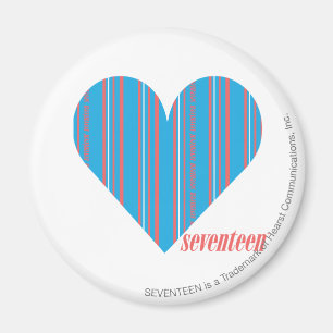 Thin Stripes Aqua 3 Magnet