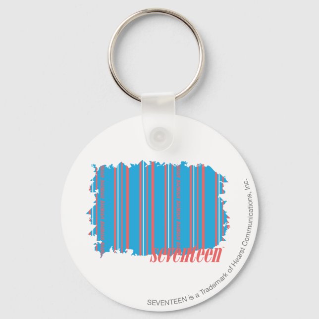 Thin Stripes Aqua 4 Key Ring (Front)