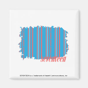 Thin Stripes Aqua 4 Magnet
