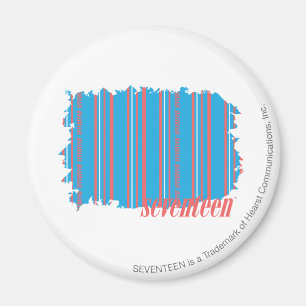 Thin Stripes Aqua 4 Magnet