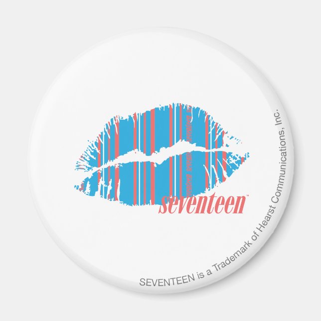 Thin Stripes Aqua Magnet (Front)