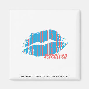 Thin Stripes Aqua Magnet