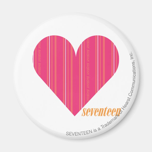 Thin Stripes Magenta 4 Magnet (Front)