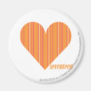 Thin Stripes Orange 3 Magnet