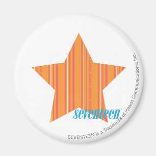 Thin Stripes Orange 4 Magnet