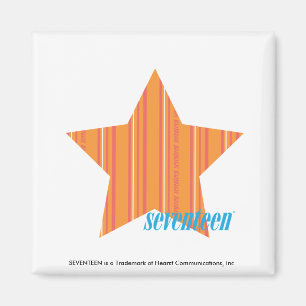 Thin Stripes Orange 4 Magnet