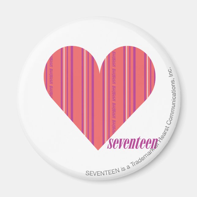 Thin Stripes Pink 3 Magnet (Front)
