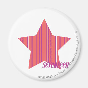 Thin Stripes Pink 4 Magnet
