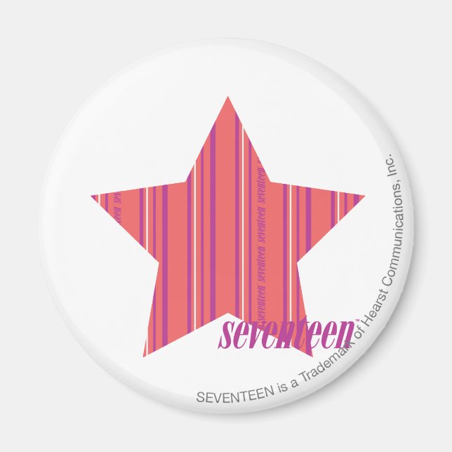 Thin Stripes Pink 4 Magnet (Front)