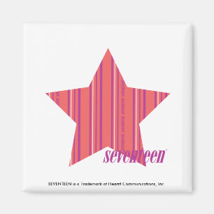 Thin Stripes Pink 4 Magnet