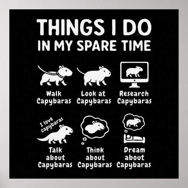 Things I Do In My Spare Time Capybara Funny Poster (Front)