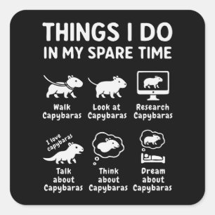 Things I Do In My Spare Time Capybara Funny Square Sticker