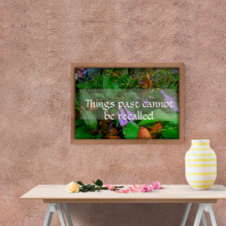 Things past cannot be recalled wisdom poster