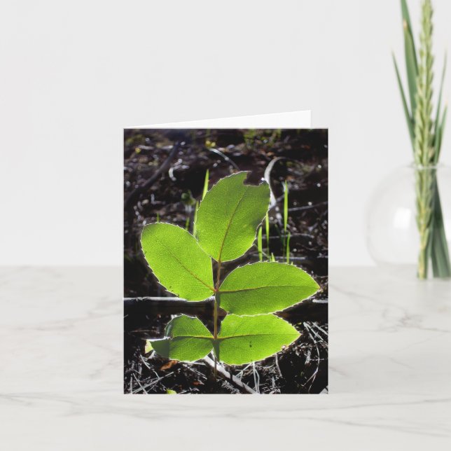 Things Will Be Brighter Notecard (Front)