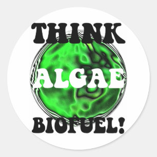 Think algae biofuel! classic round sticker