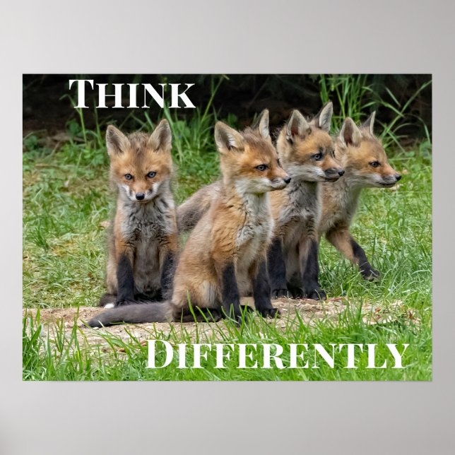  Think Differently Fox Poster (Front)