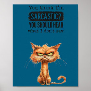 Think i’m sarcastic should hear what don’t say tee poster