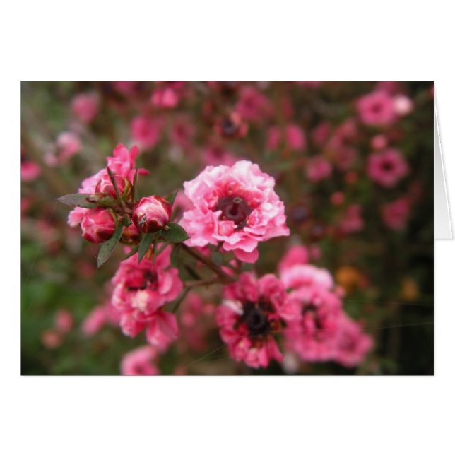 Think Pink Card (Front Horizontal)