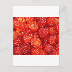 THINK RASPBERRY! POSTCARD