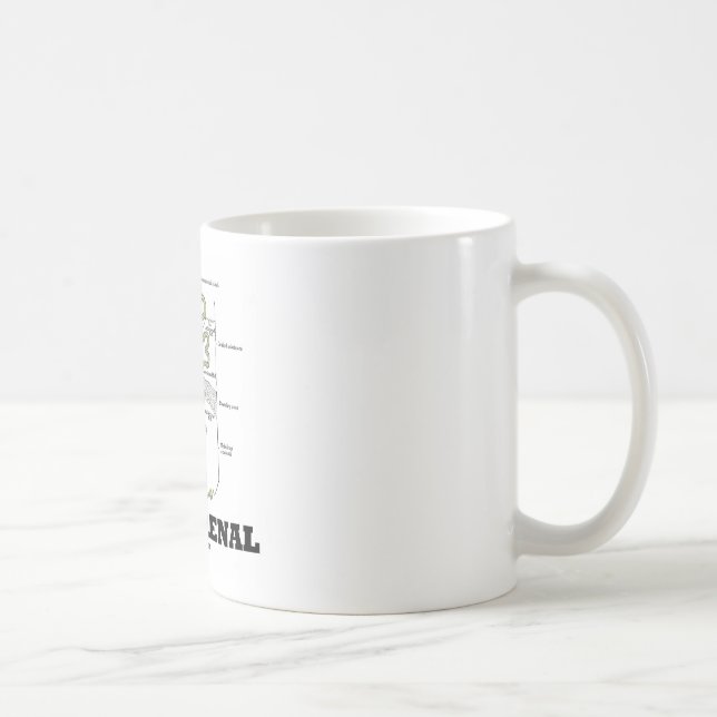 Think Renal (Kidney Nephron) Coffee Mug (Right)