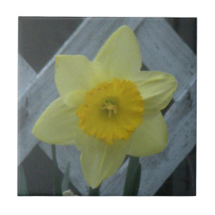 Think Spring! Tile