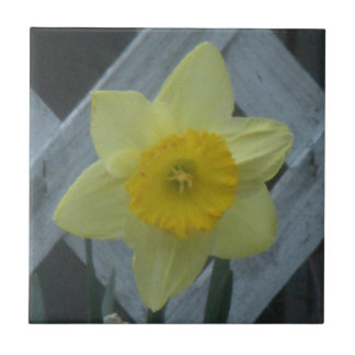 Think Spring! Tile