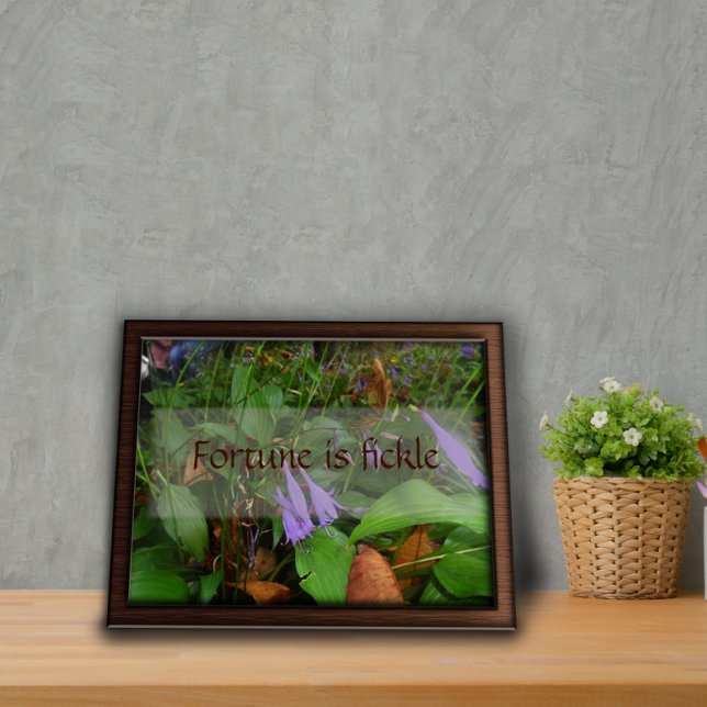 Think today and speak   wisdom saying photo poster (Creator Uploaded)