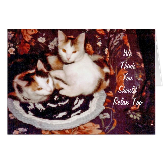 Thinking Cats Card (Front Horizontal)