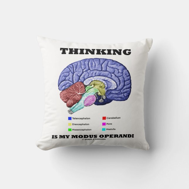 Thinking Is My Modus Operandi Brain Anatomy Cushion (Front)