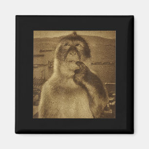 Thinking Monkey Meme Vintage Retro Magnet
