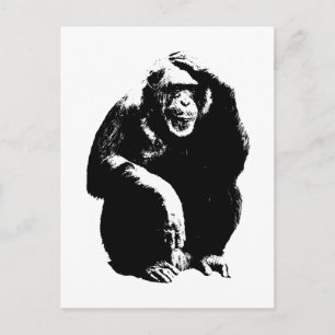 Thinking Monkey Postcard