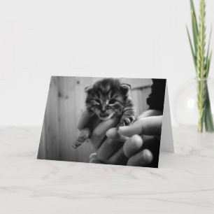 Thinking of Mew! Card