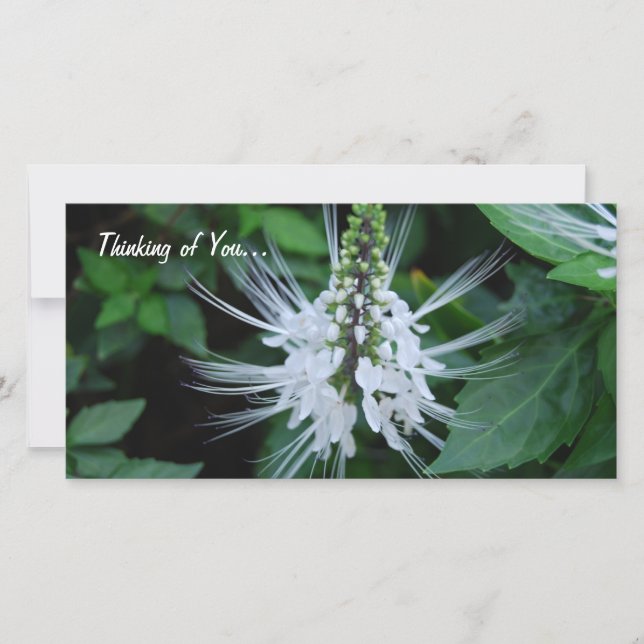 Thinking of you (Front)