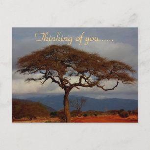 Thinking Of You Africa Postcard