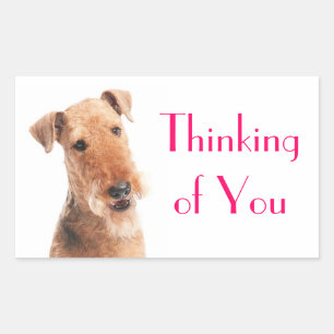 Thinking of You Airedale Puppy Dog Sticker / Label