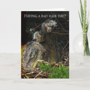 Thinking of You baby birds Card